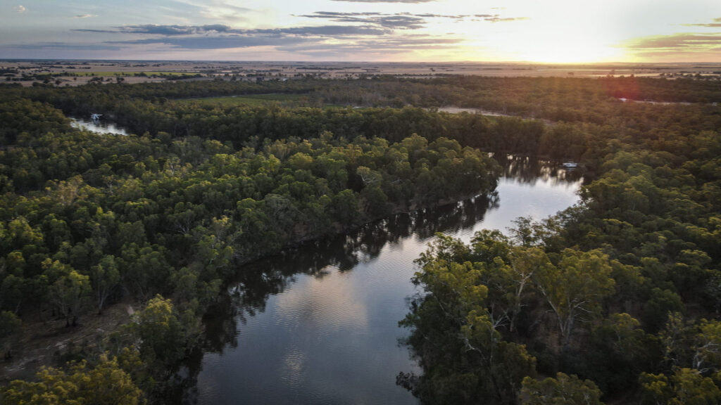 Murray River